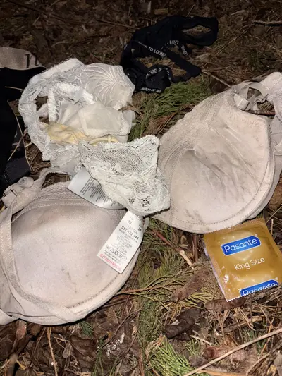 what do you mean you don’t have a secret stolen panty stash in a bush? cover image