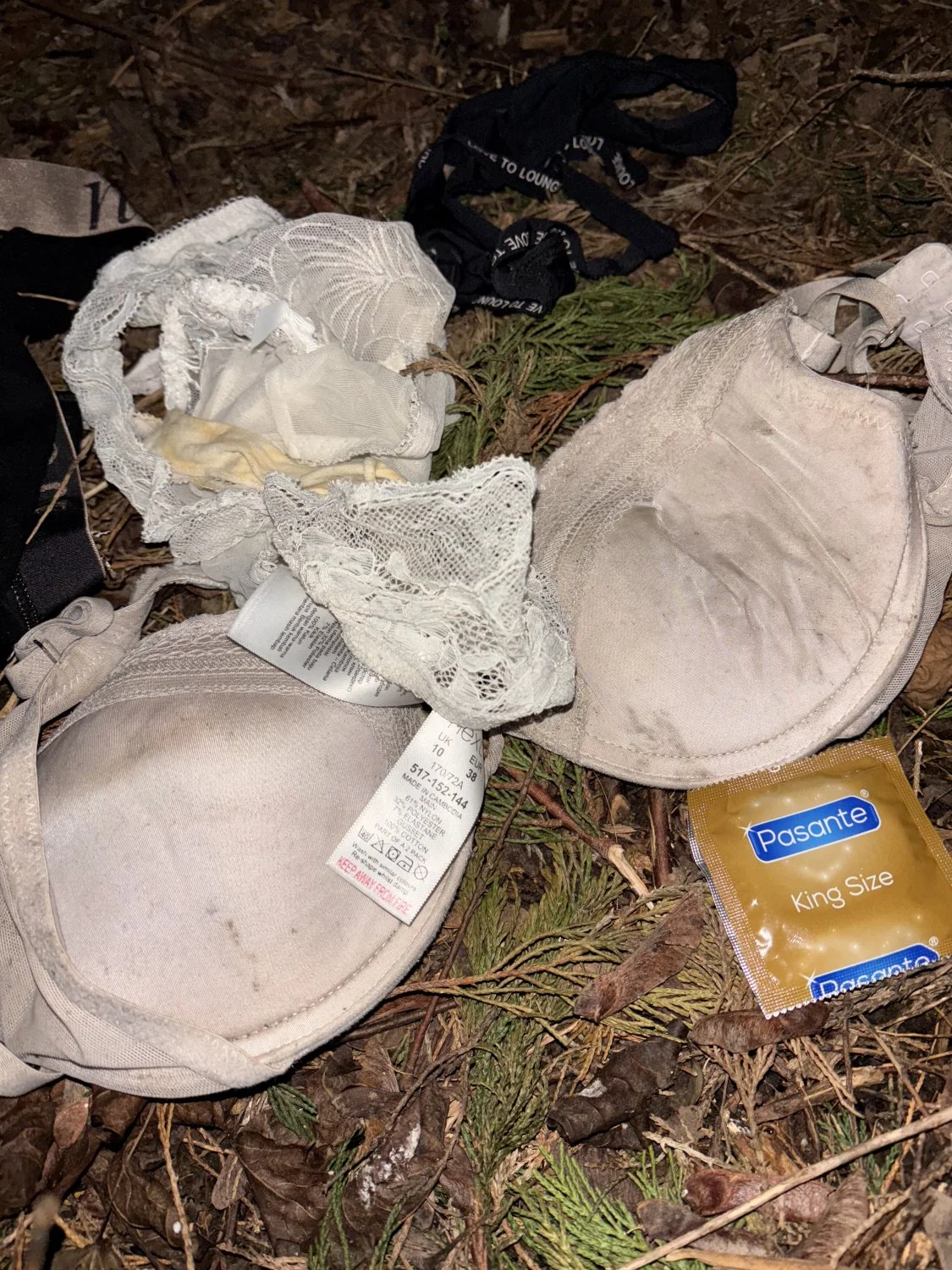 what do you mean you don’t have a secret stolen panty stash in a bush? main image