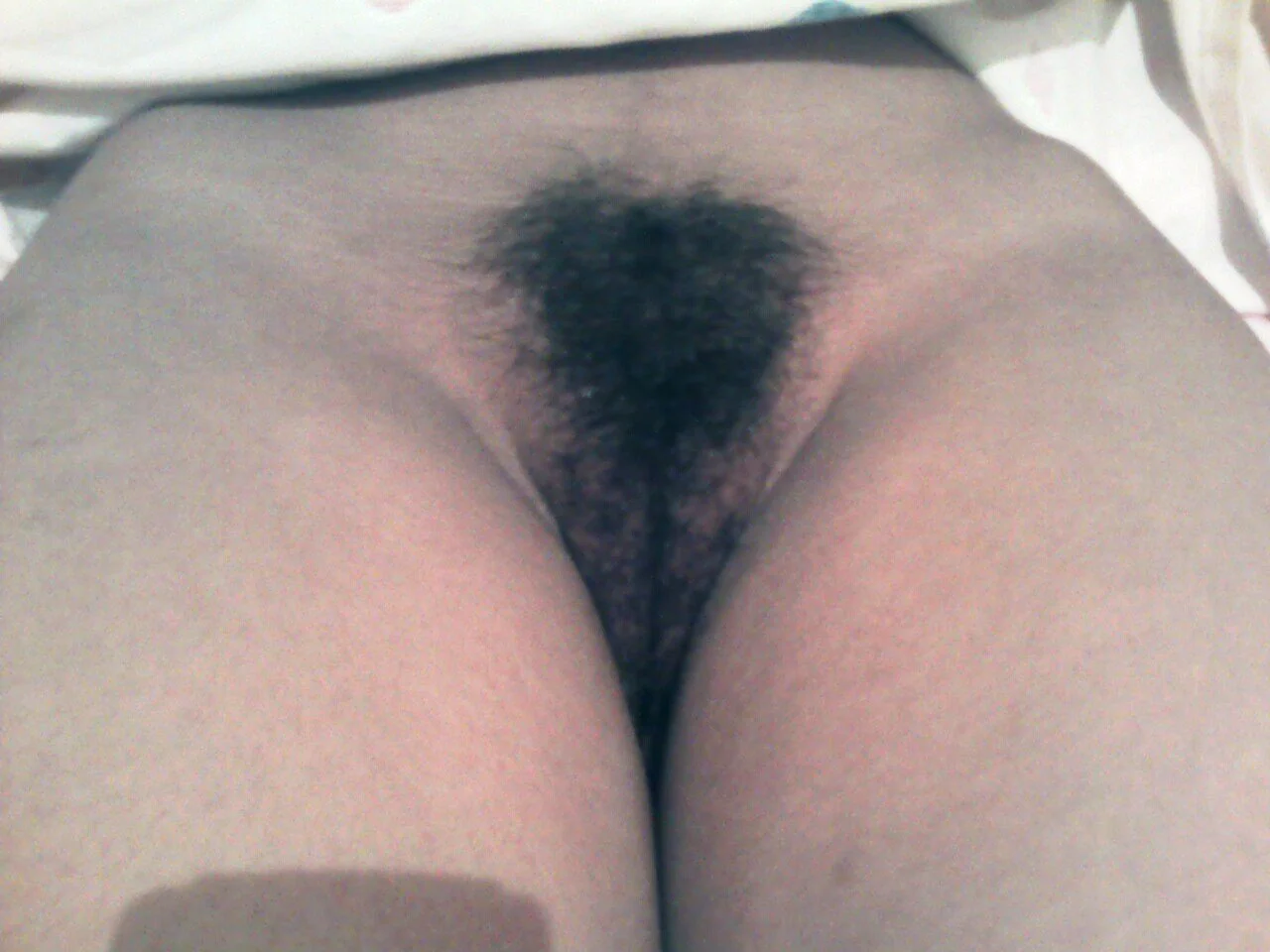 Morra dormida image 3