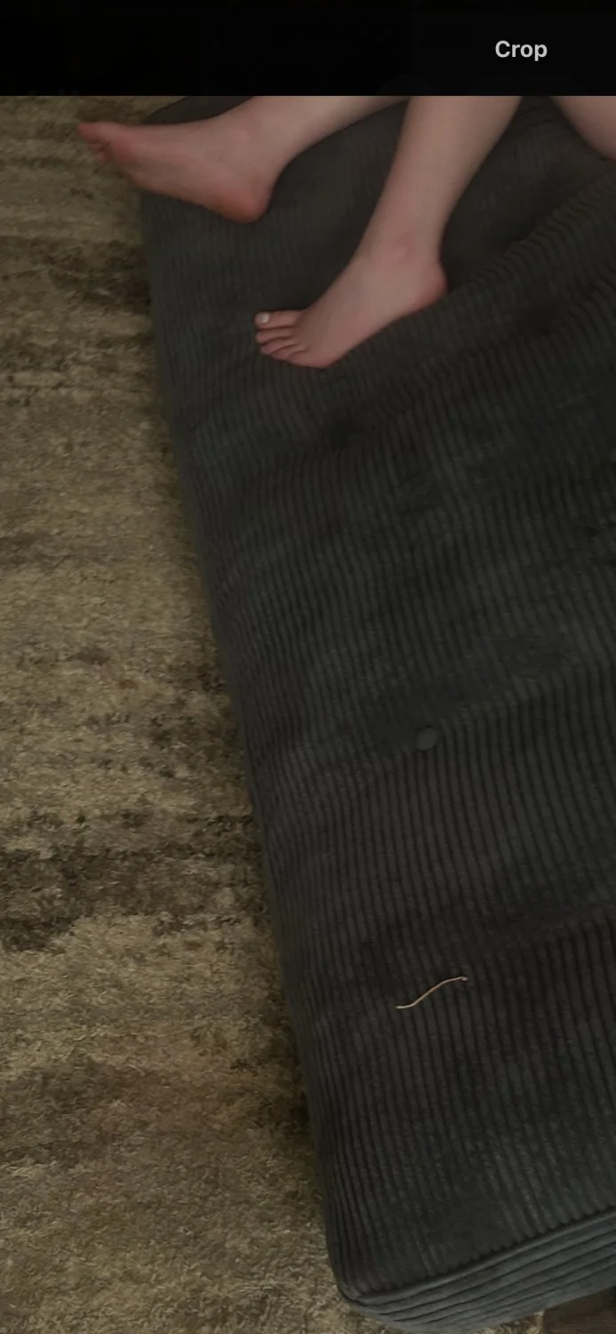 Feet image 6