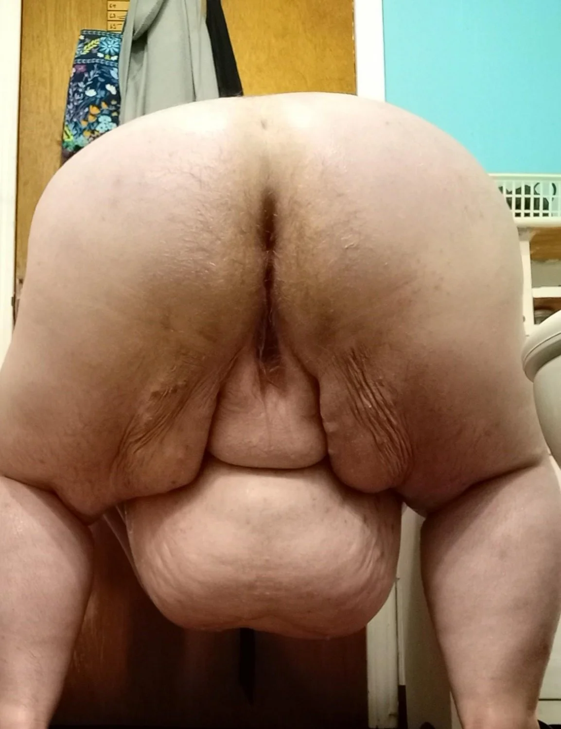 Yummy SSBBW Cunts 🐖 image 26