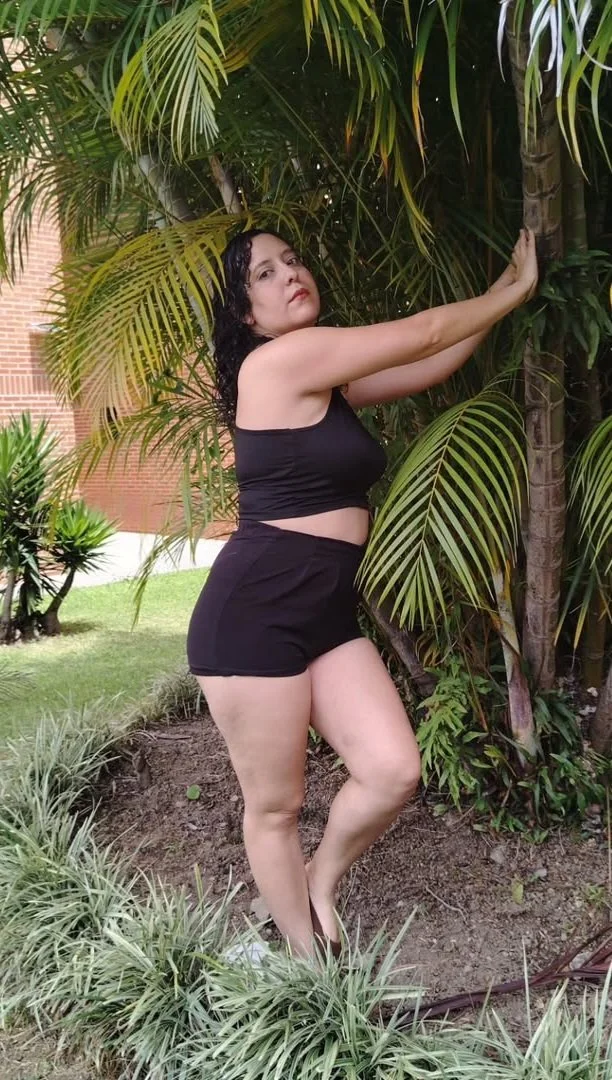 Bollo grande latina 240 image 2