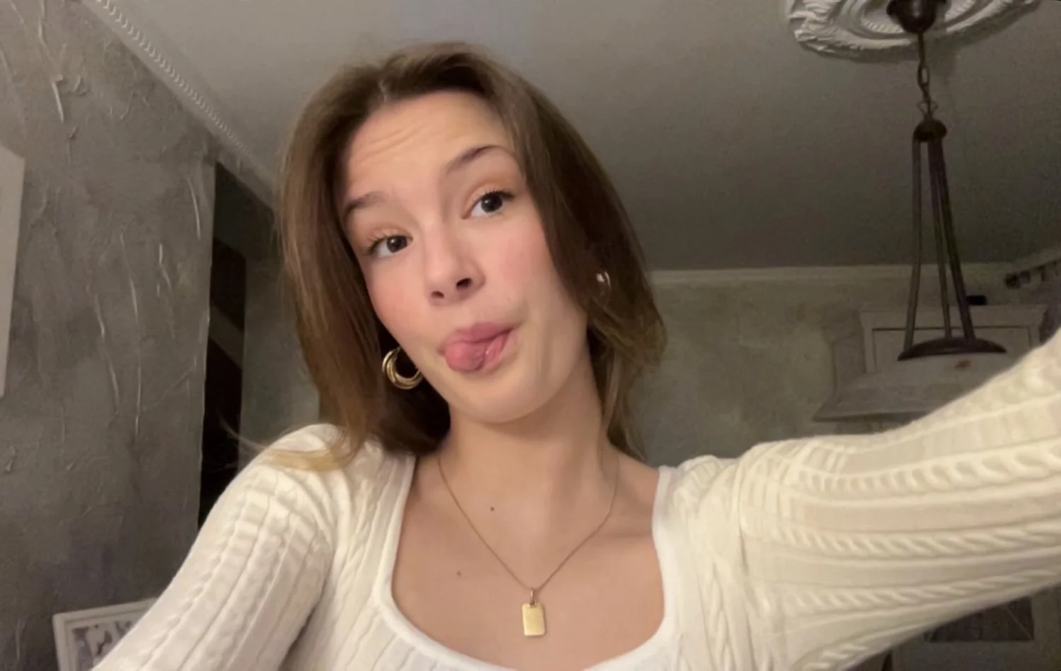 Random IRLS real and Ai image 23