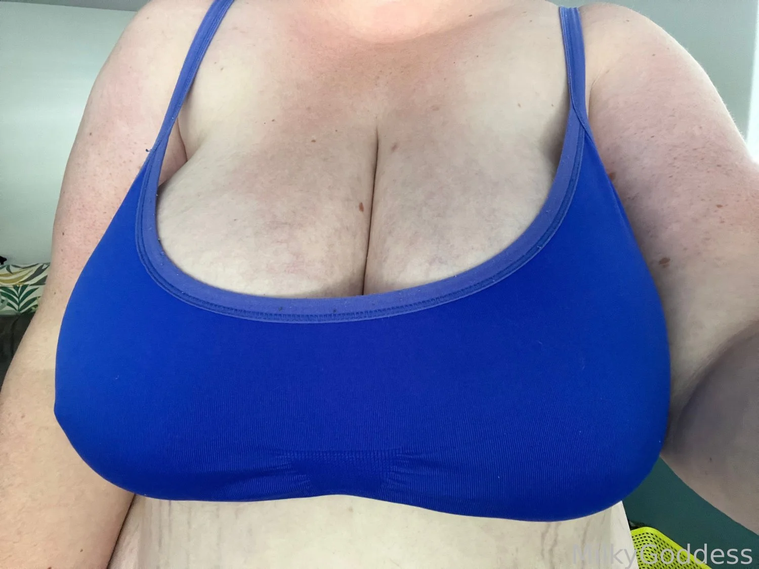 Huge Full Milkers image 2