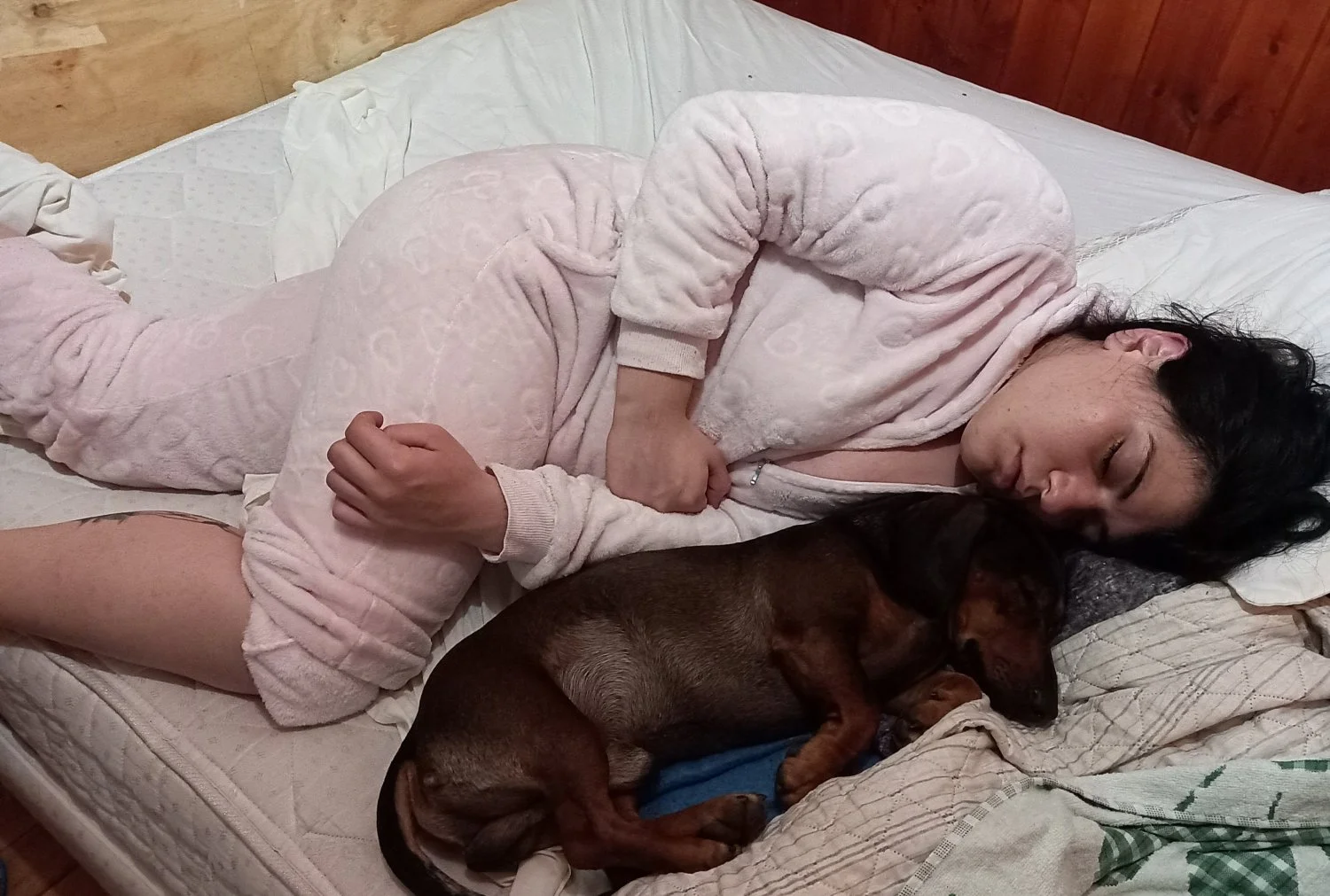 Rociobelen anal image 2