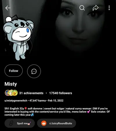 Thick Misty cover image