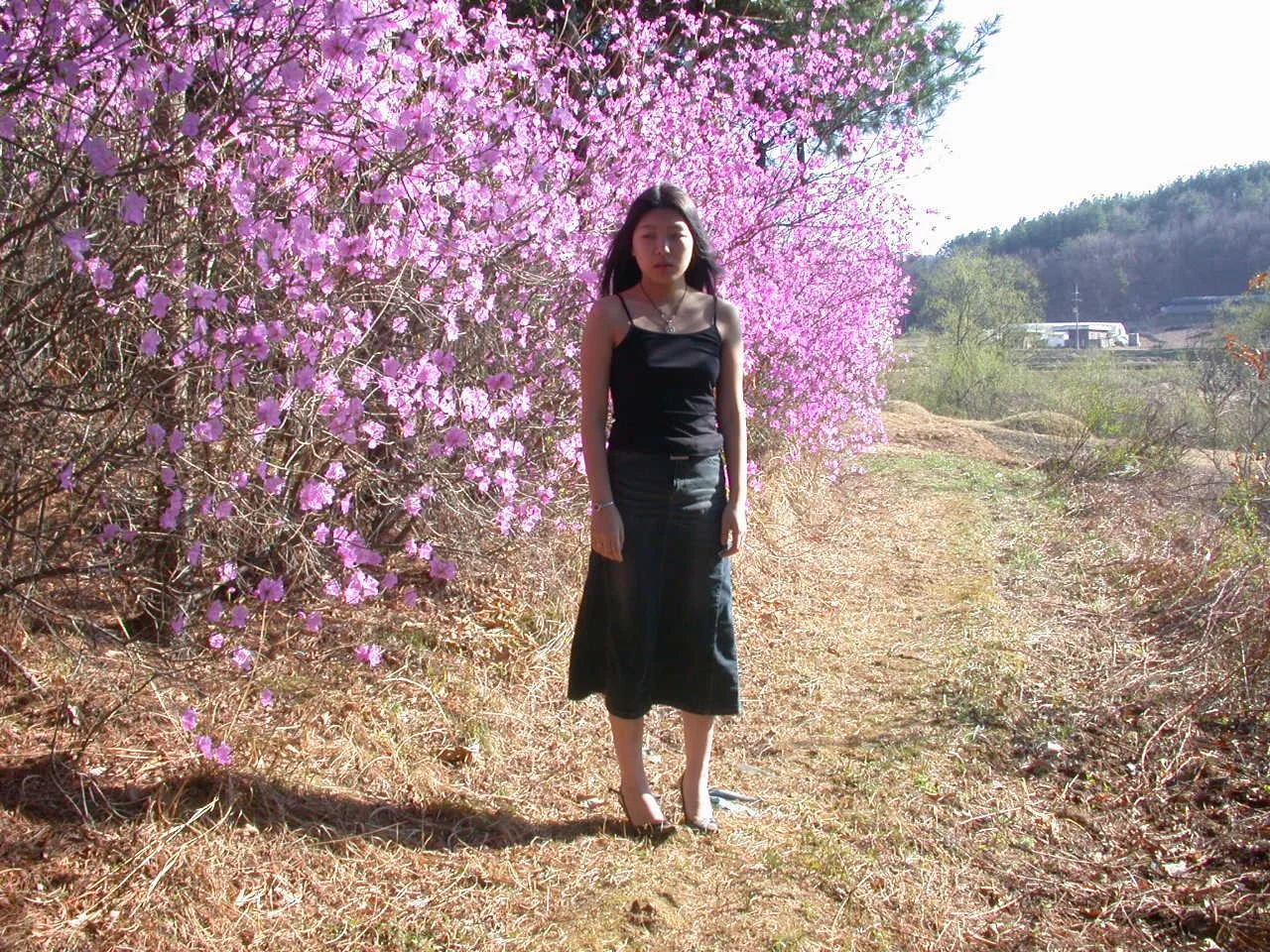Korean amateur girl 17-2 image 43