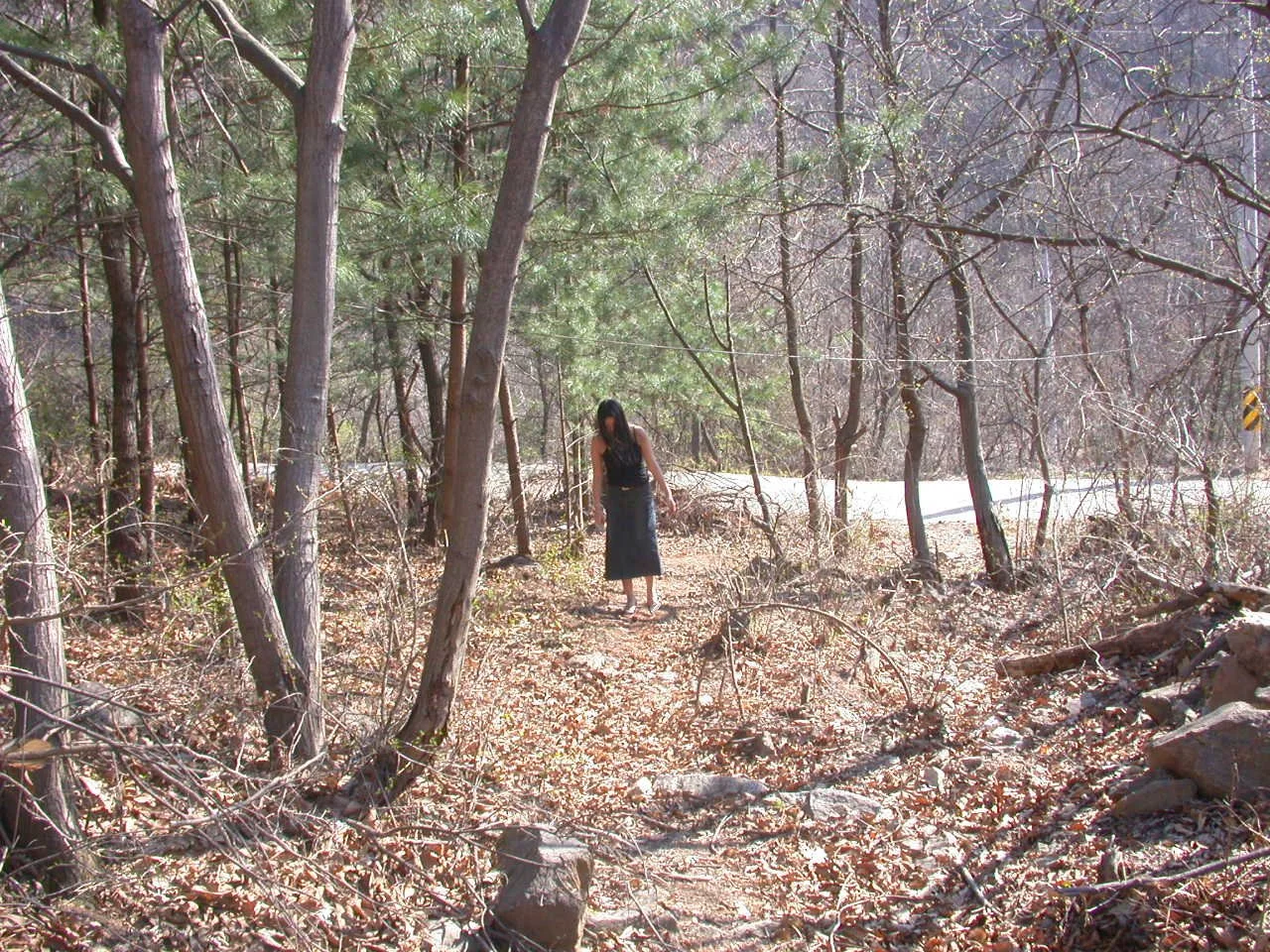 Korean amateur girl 17-2 image 6