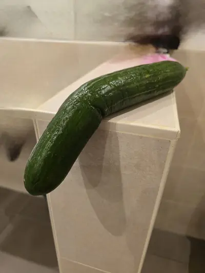I went into the bathroom after my sister in-law came out and found a dead cucumber, a big one🍆🍑🥵 cover image