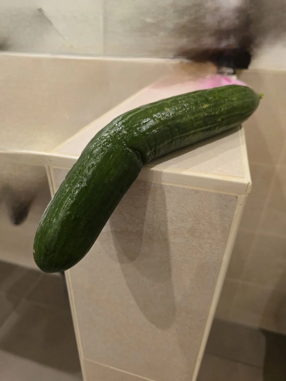 I went into the bathroom after my sister in-law came out and found a dead cucumber, a big one🍆🍑🥵 main image
