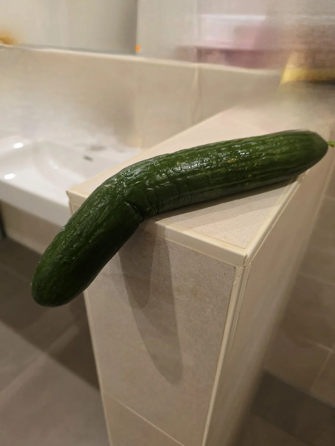 I went into the bathroom after my sister in-law came out and found a dead cucumber, a big one🍆🍑🥵 image 2