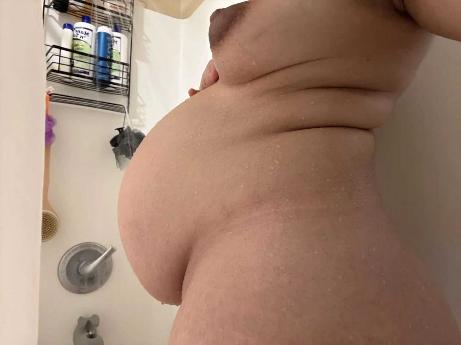 I Can’t Stop Impregnating My Wife image 2