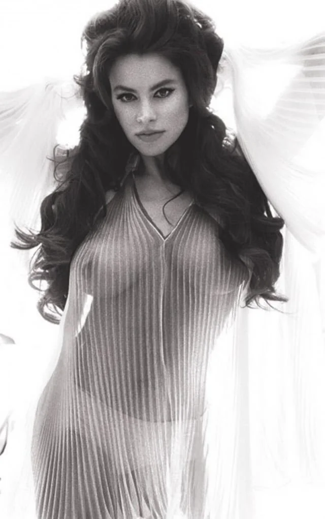 Sofia Vergara mature image 11