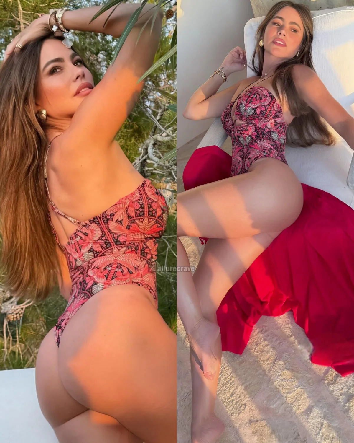 Sofia Vergara mature image 20