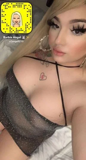 Corpus Latina Trans Barbie image 20