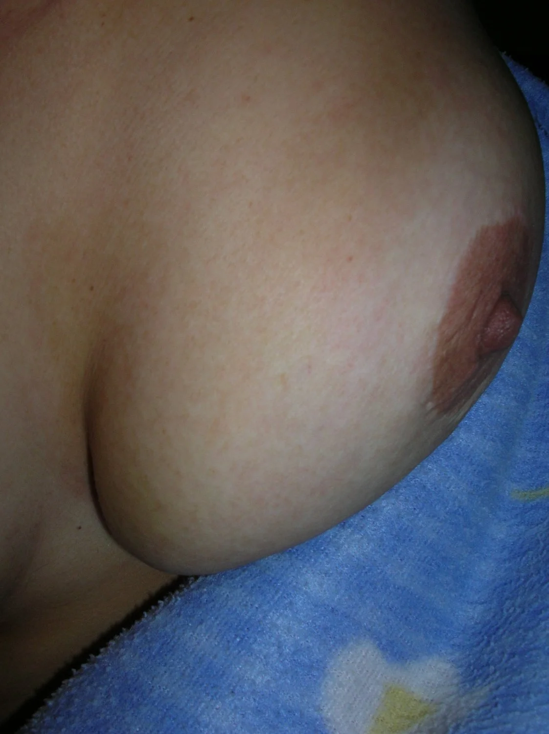 Isabel Oro 1 image 28
