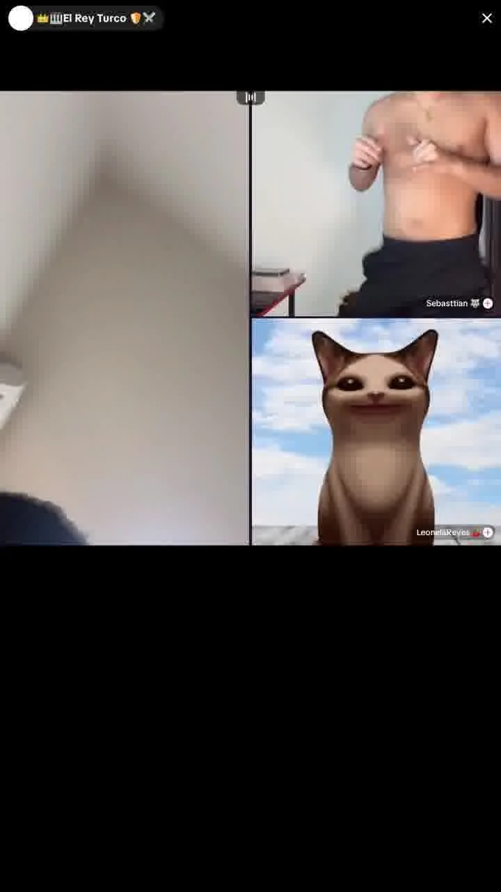 tiktok live latina flash image 3