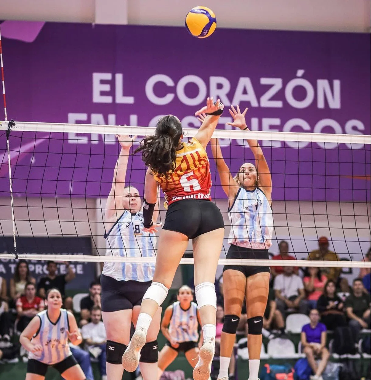 Jugadora de voley sofi paredes paraguaya culona image 19