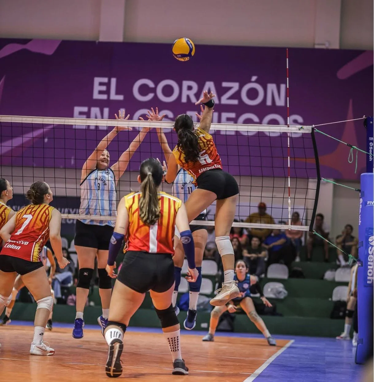 Jugadora de voley sofi paredes paraguaya culona image 45