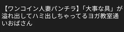 🔚Japanese　ワンコイン　人妻ぱんちら　ソフトエロ　一発やりたい cover image