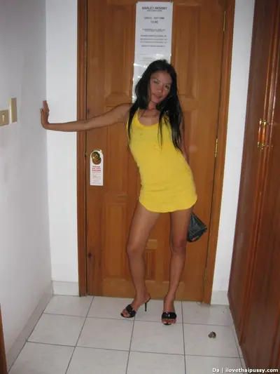 Drunk Thai Whores from Bangkok fucked for rent money asian sluts cover image