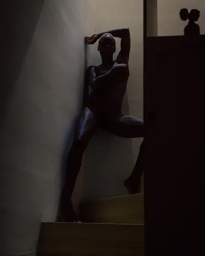 Shadow Art X Room Noir cover image
