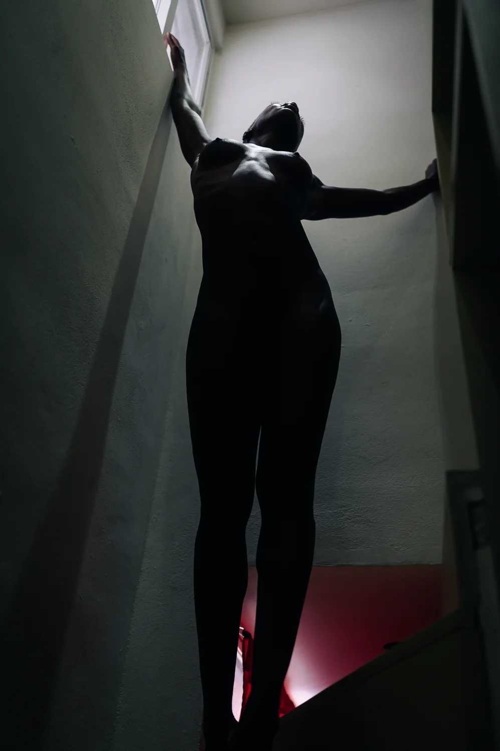 Shadow Art X Room Noir image 10