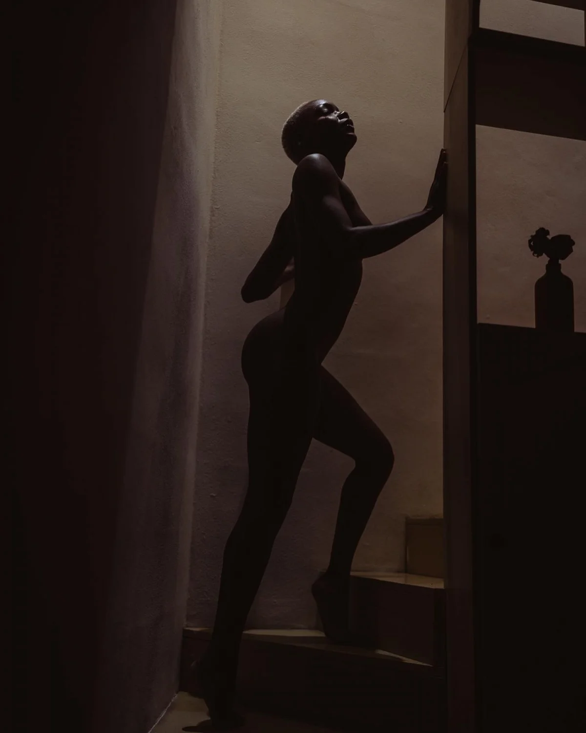 Shadow Art X Room Noir image 2