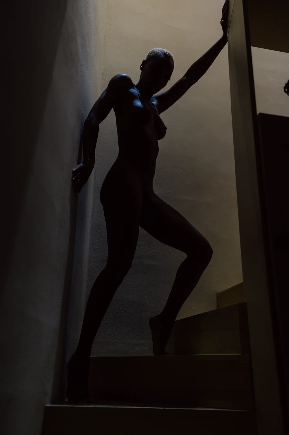 Shadow Art X Room Noir image 4