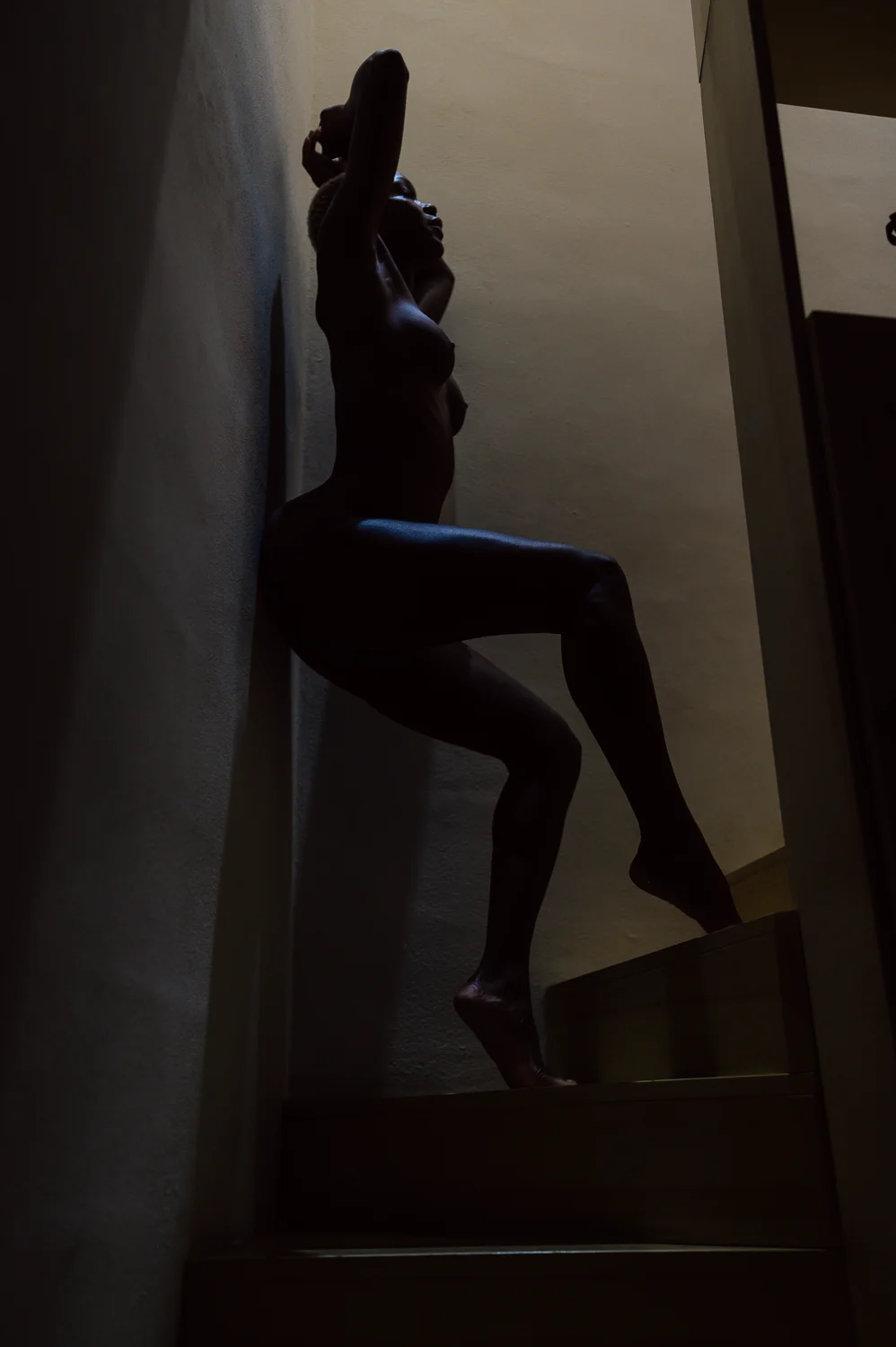 Shadow Art X Room Noir image 5