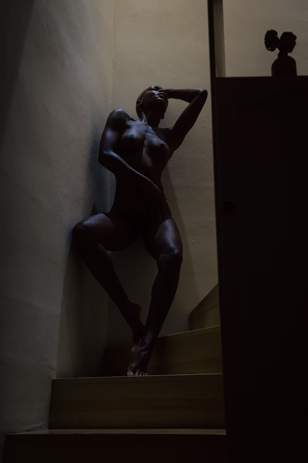 Shadow Art X Room Noir image 8