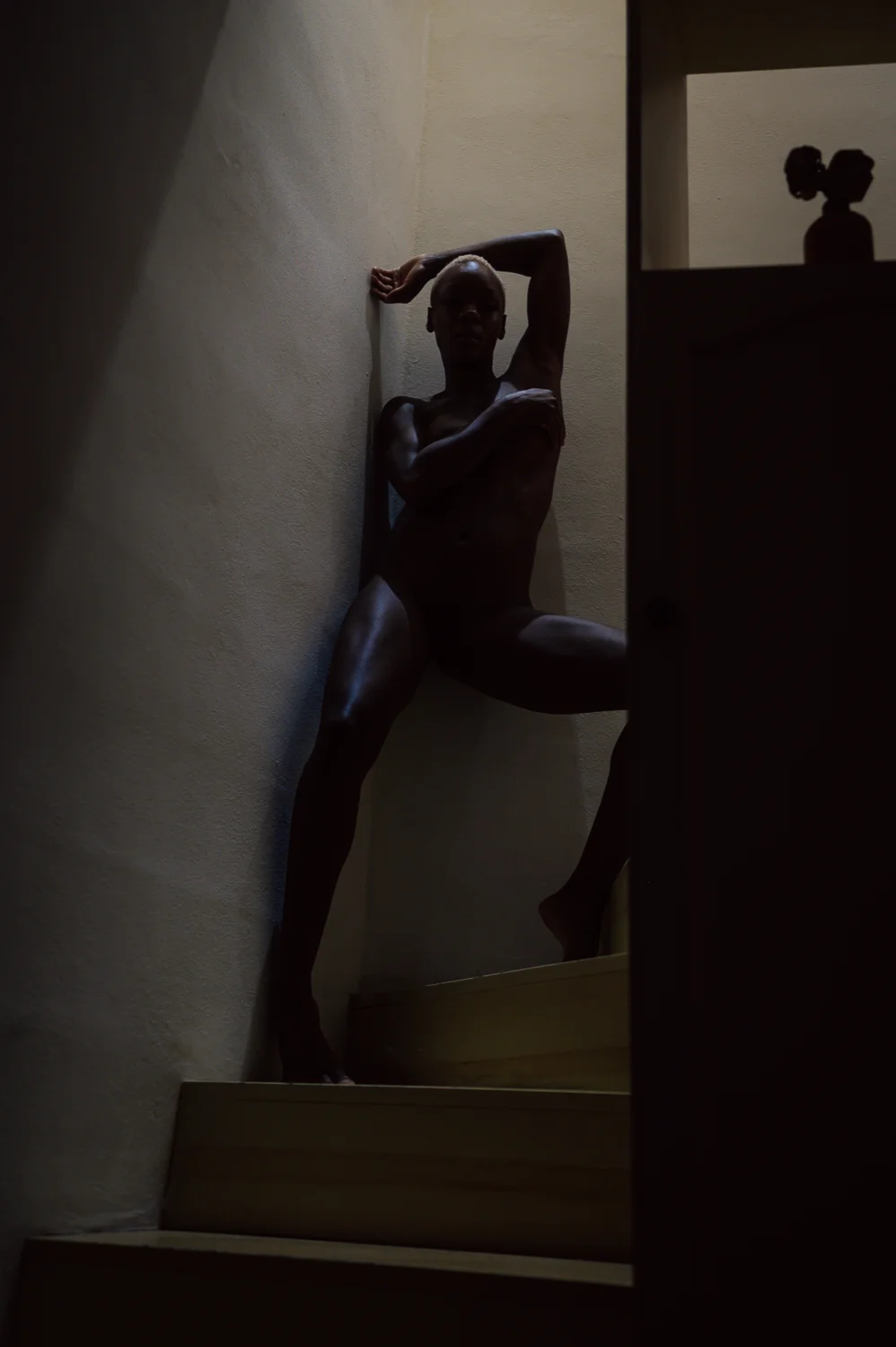 Shadow Art X Room Noir image 9