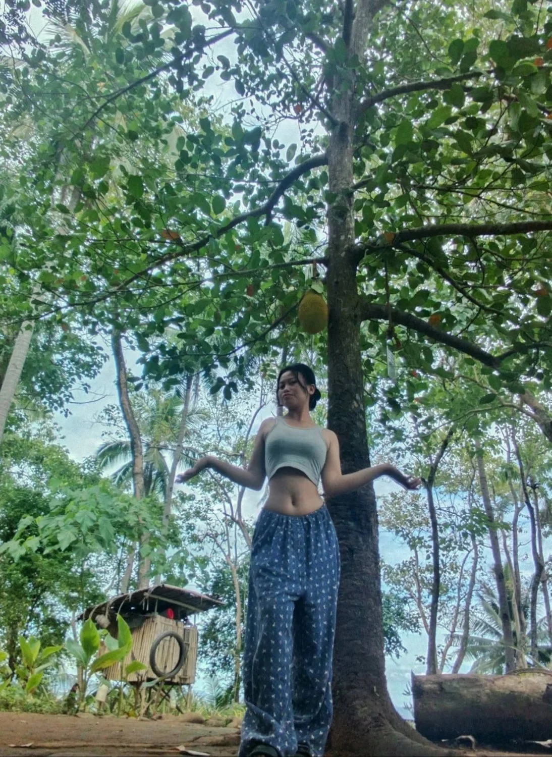 🖼️ image 33