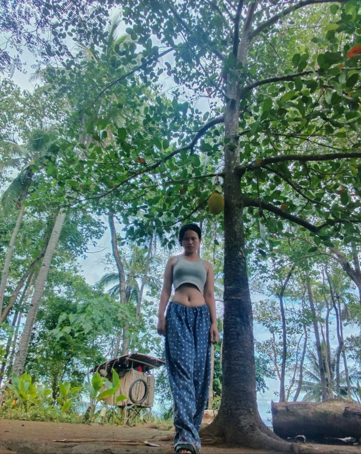 🖼️ image 43