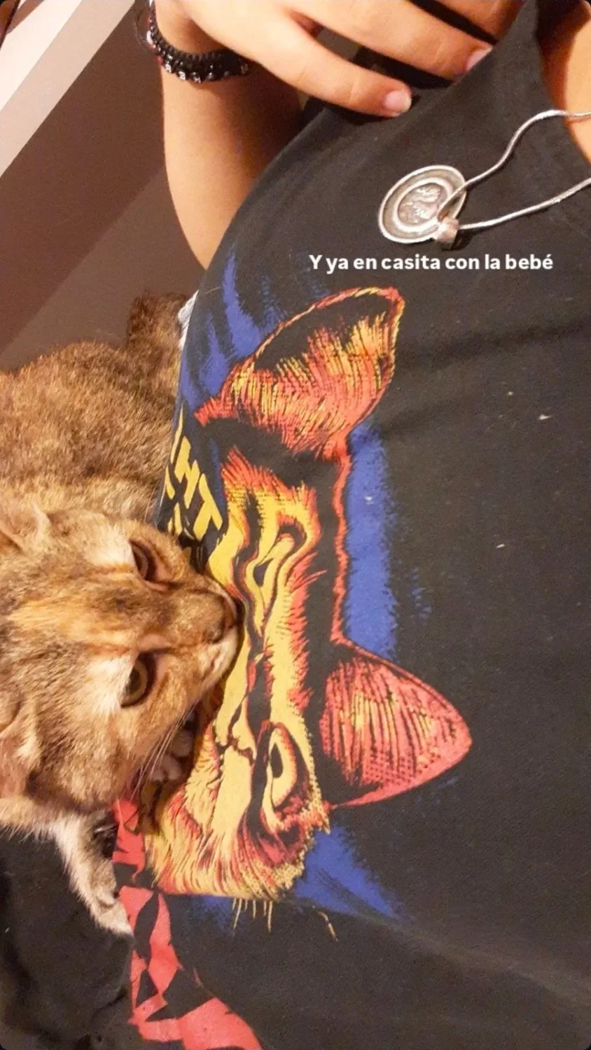 Putita filtrada con número para sacarle nudes image 3