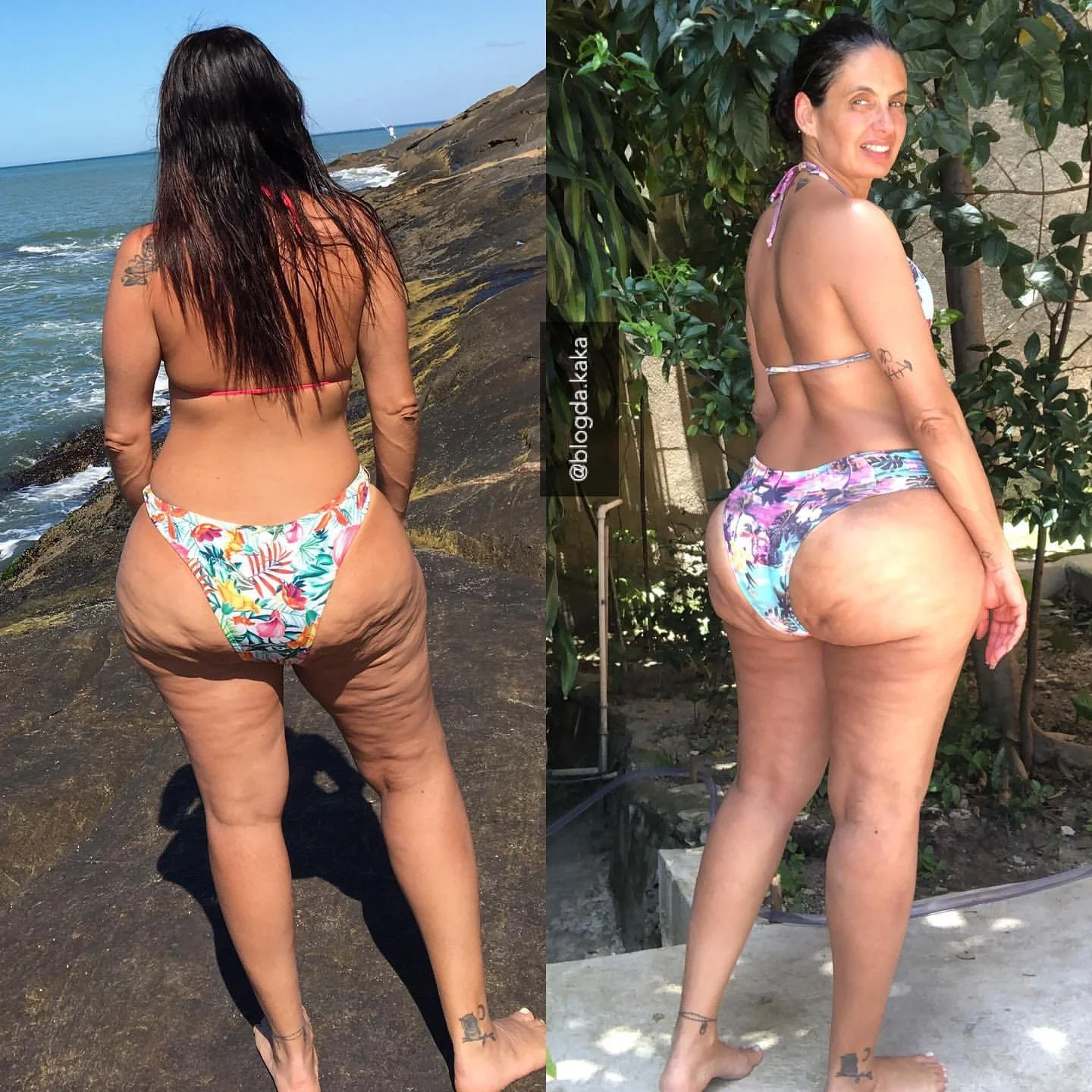 Coroa do rabo gigante image 4