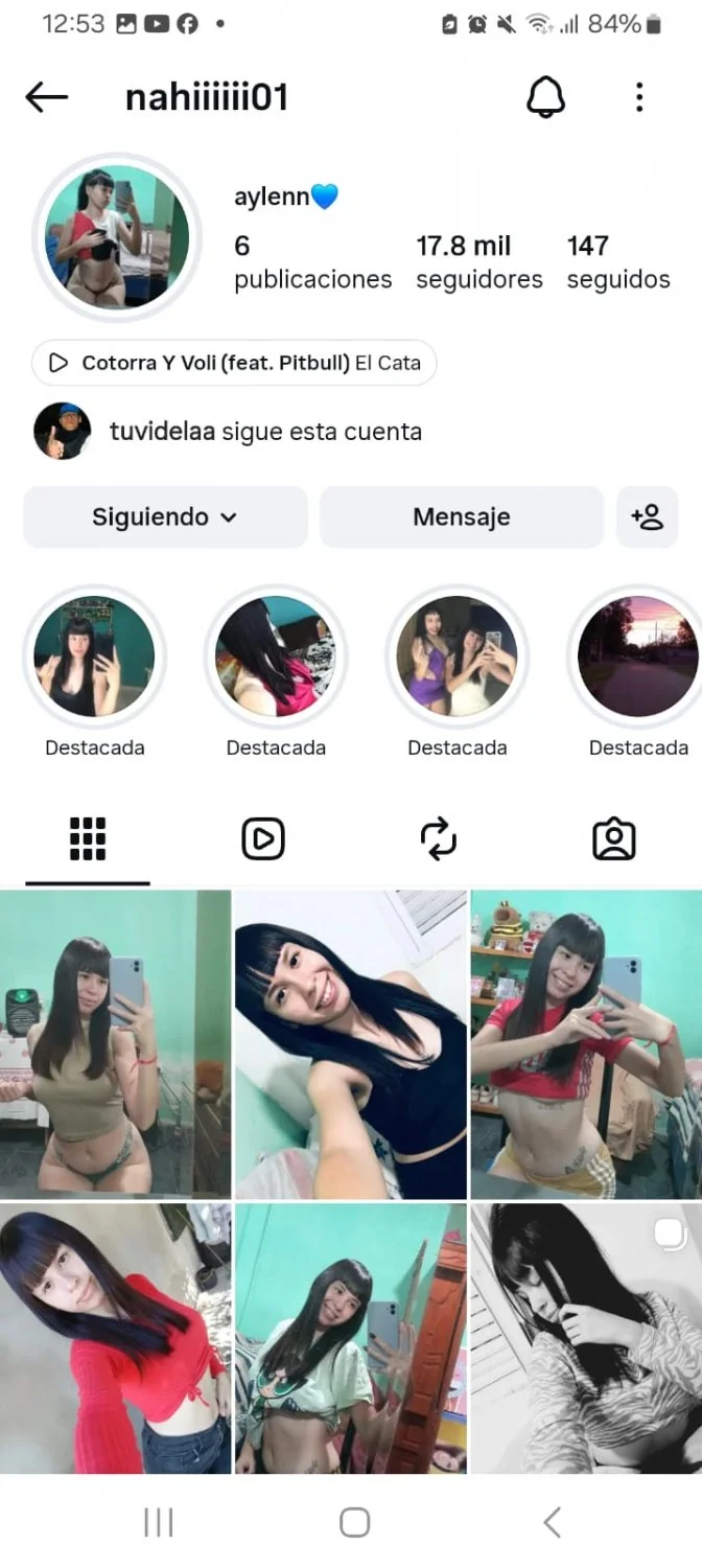 Aporte trolita argentina de ig se exhibe main image
