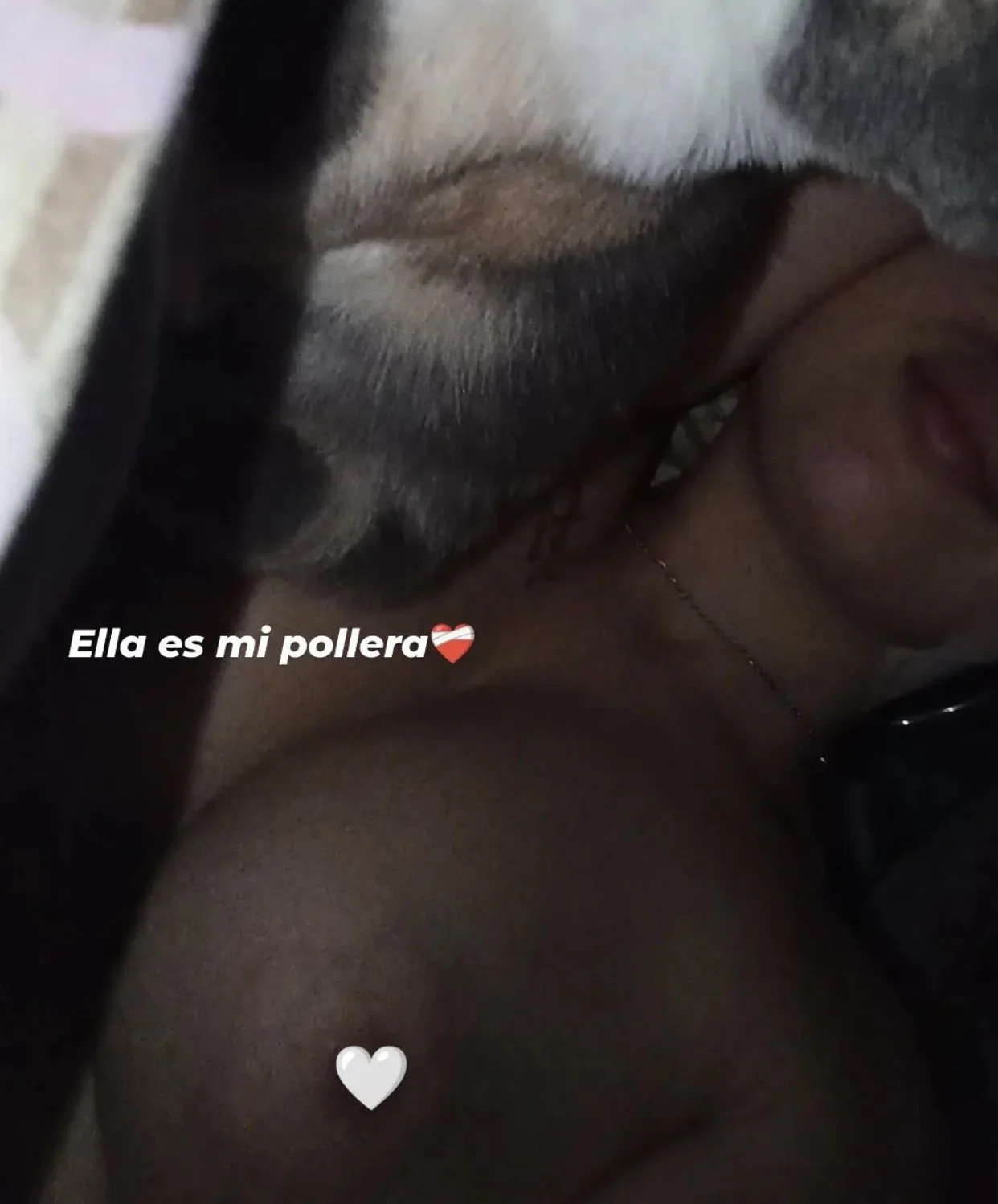 Trola argentina tetona de instagram 🤤🤤🔥🔥 le gusta hablarme por privado sucio image 5