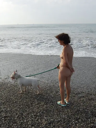 Playa nudista. cover image