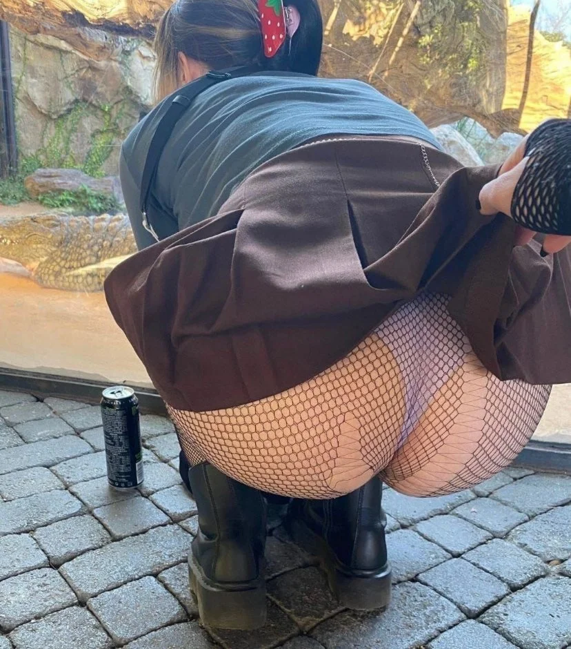 Fishnet image 3