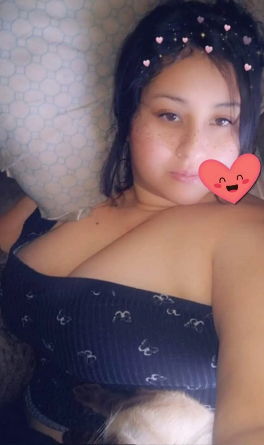 Mexicana image 4