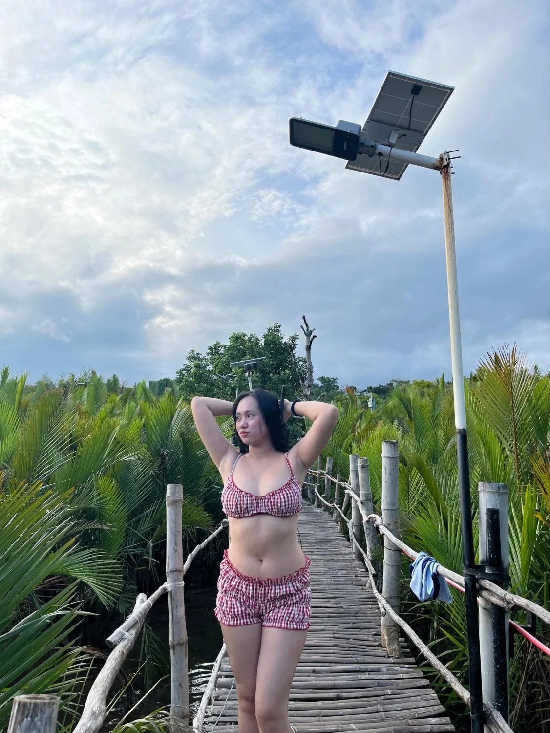 🖼️ image 42