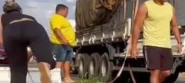 Yt 🚚 P A K main image