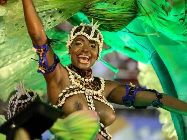 Carnaval brazil 2025 image 2