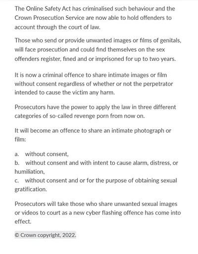 The online Safety Act cover image