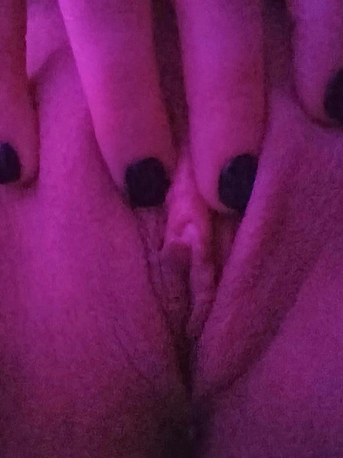 Pick your favorite pussy. Dm open image 2