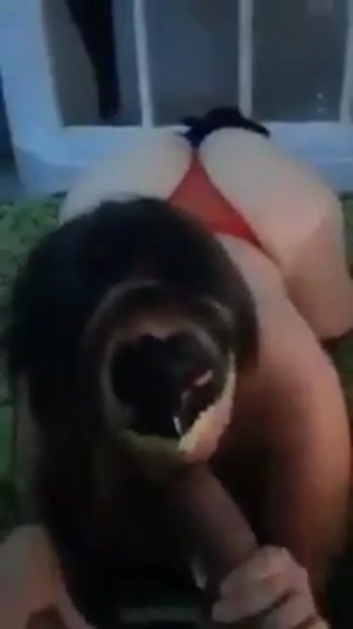 Gorda trola le pagan y se pone a chupar la pija 🔥 image 21