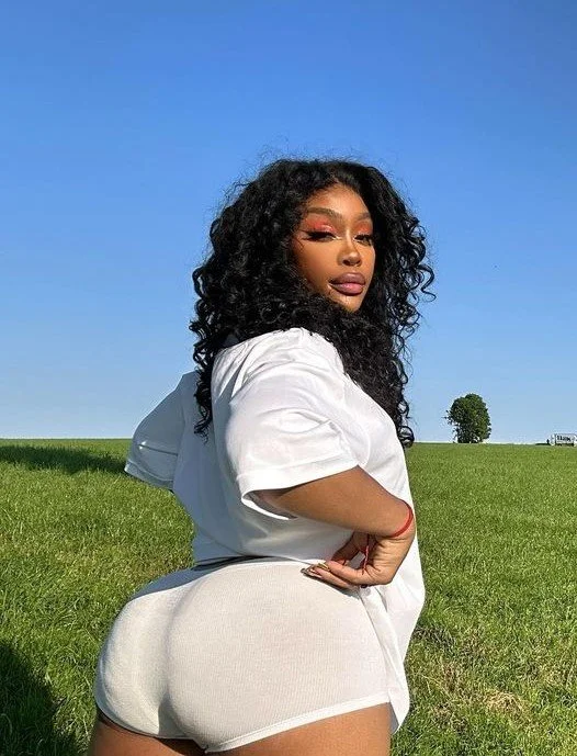 I want to use SZA’s hair like a cumrag image 14