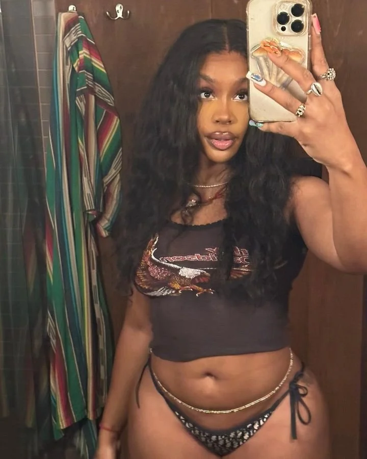 I want to use SZA’s hair like a cumrag image 4