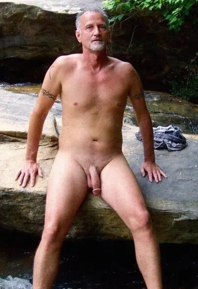 Cocks cover image